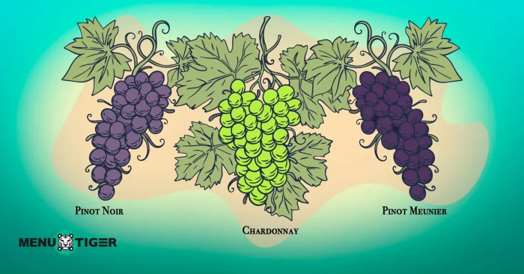 Champagne grapes